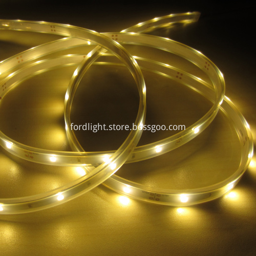 SMD5630 LED Strip Light DC12V White Warm White Color